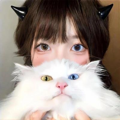 超级迪克